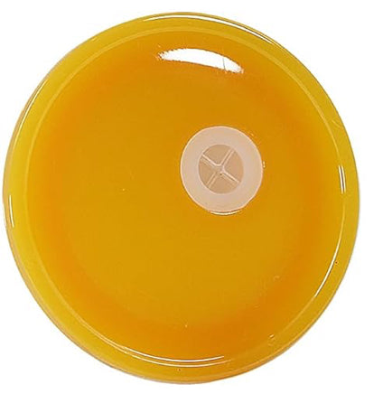 Color Lids - 16oz 'Can' Tumbler
